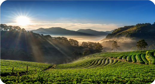 Munnar