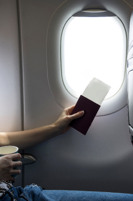 Visa Service